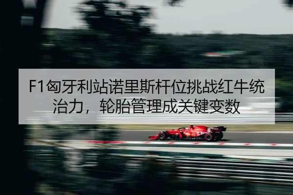 xiong-ya-li-zhan-nuo-li-si-gan-wei-tiao-zhan-hong-niu-tong-zhi-li-lun-tai-guan-li-cheng-guan-jian-bian-shu-2-579.jpg
