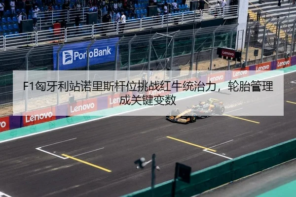 xiong-ya-li-zhan-nuo-li-si-gan-wei-tiao-zhan-hong-niu-tong-zhi-li-lun-tai-guan-li-cheng-guan-jian-bian-shu-3-127.jpg