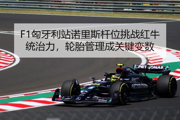 F1匈牙利站诺里斯杆位挑战红牛统治力，轮胎管理成关键变数