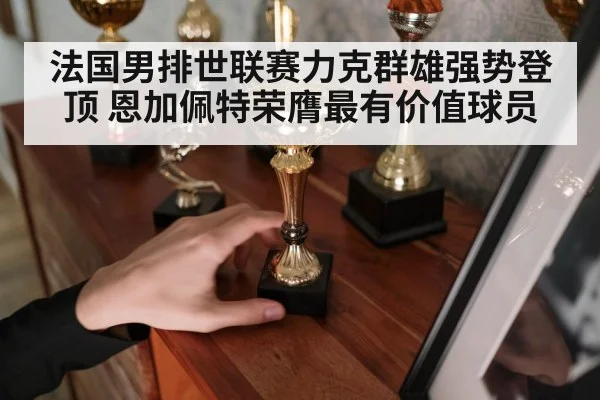 法国男排世联赛力克群雄强势登顶 恩加佩特荣膺最有价值球员